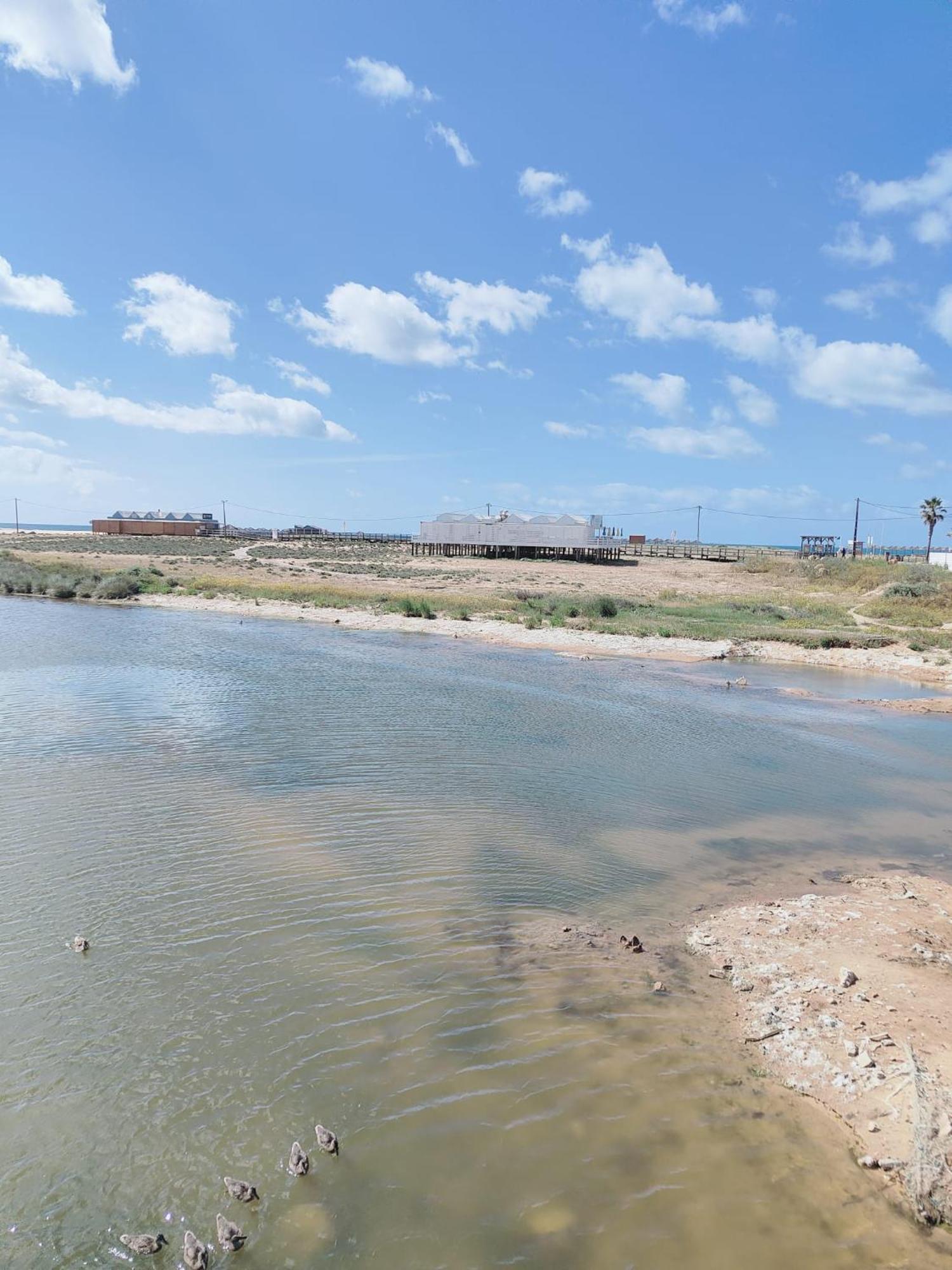 Bayline- Beachfront And Pool Armacao de Pera Bagian luar foto